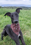 Ethical Dog Bandana - Burgundy